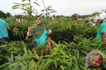 Peringati Hari Lingkungan Hidup Sedunia