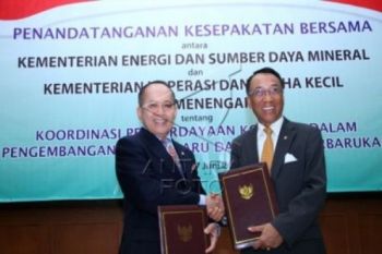 Pemerintah Inginkan Setiap Sungai Jadi Pembangkit Listrik