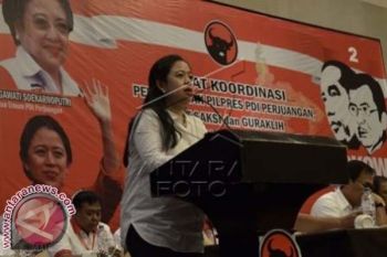 Pilpres - Puan Maharani Ingatkan Relawan Waspadai H-3 Pilpres 