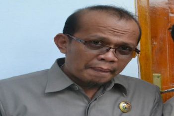 Bupati: Royalti Tambang Bombana Rp20 Miliar/tahun 