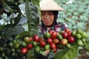 Mamin Indonesia Raih Transaksi Besar di Malaysia