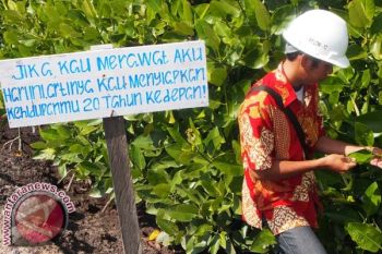 PT Letawa Tanam 10.000 Mangrove Peringati Hari LH