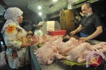 Harga Ayam Potong di Cilacap Anjlok 