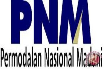 Urgensi transformasi PNM menjadi bank khusus UMKM