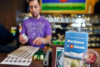 Toko Ganja Legal Pertama Di Seattle Ludes Diserbu Pembeli