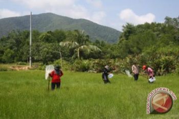 Mahasiswa UNY membuat modul capung Karimunjawa 