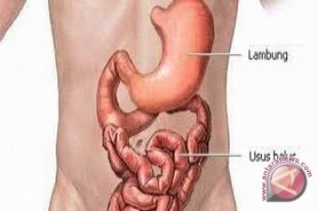 Bahaya kurang serat bagi pencernaan saat puasa