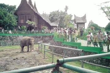 Objek Wisata di Bukittinggi Padat Pengunjung