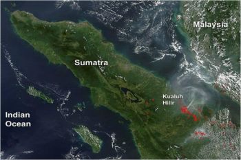 Satelit NOAA Deteksi 98 Titik Panas Sumatera