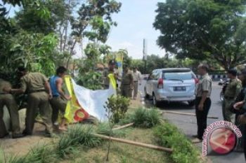 Petugas Turunkan Alat Peraga Kampanye di Purbalingga 