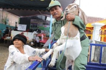 TPS Berhadiah Kambing