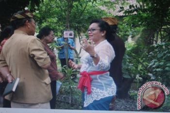 Dayu dan Kisah Pembelajaran di Bawah Pepohonan