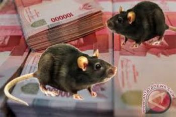 Korupsi, Kades Kalirejo akan Diberhentikan Sementara