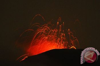 Purbalingga Minta Pernyataan Darurat Erupsi Gunung Slamet
