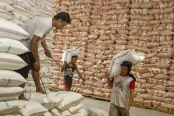 Usai Lebaran, Stok Beras Tetap Surplus