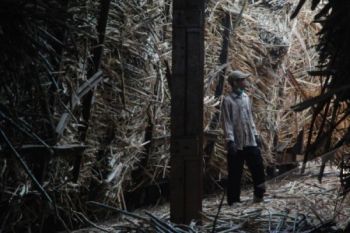 Pasokan Tebu Petani Lampaui Kapasitas PG Rendeng