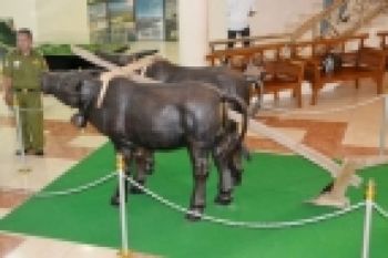 Museum Nasional Transmigrasi