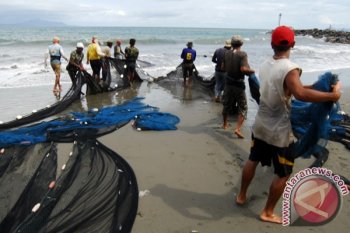 Tangkapan Pukat Pantai