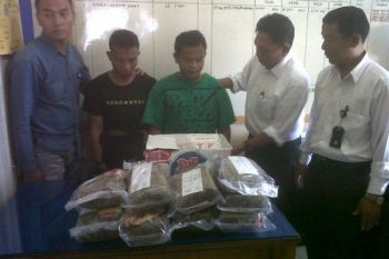 Polres Padang Panjang Tangkap Pengedar Ganja