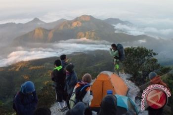 Perhutani tutup jalur pendakian di Gunung Lawu