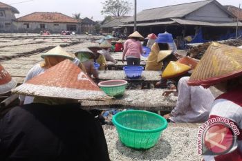 Produksi naik, harga teri asin Pulau Pasaran turun
