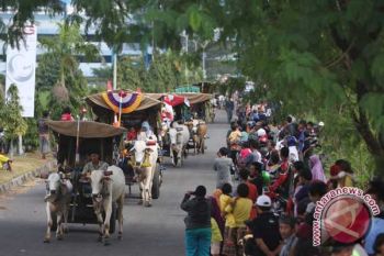 Sultan lepas Festival Gerobak Sapi 2014