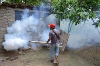 Kasus DBD Turun, Warga Diminta Tetap Waspada