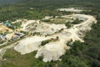 Diminati Investor Asing, Potensi SDA Indonesia Harus Dijaga