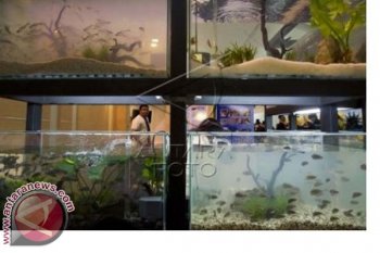 Pameran Indonesian Aquaculture