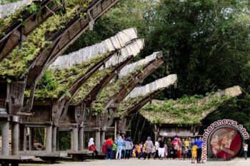 WISATA RUMAH ADAT TONGKONAN