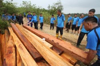 Pembalakan Hutan Ancam Persediaan Air Batam
