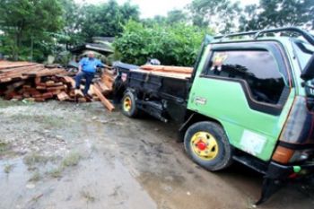 Pembalakan Hutan Batam/Joko Sulistyo