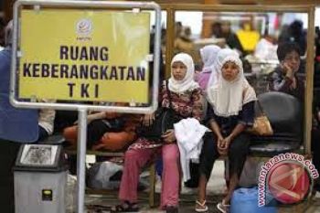 PJTKI SDSA NTB Siapkan 6.000 TKI