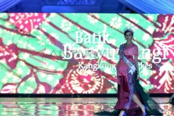 Batik Puteri Indonesia