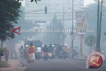 Penerbangan di Bandara Sampit Lumpuh Akibat Asap