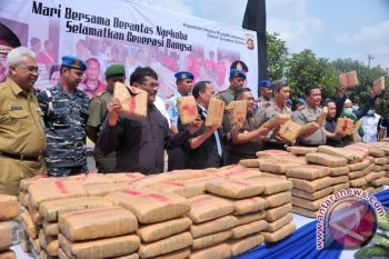 Polresta Palembang musnahkan setengah ton ganja kering 