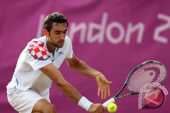 Cilic Juara AS Terbuka