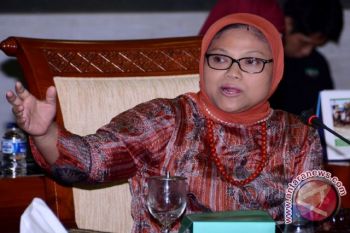 DPR-Pemerintah Sepakat Selesaikan Revisi UU PA