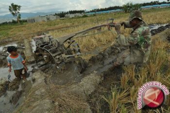 Palolo Dapat Jatah Pencetakan Sawah Baru 