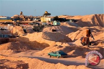 719 IUP Di Kalteng Belum Miliki NPWP