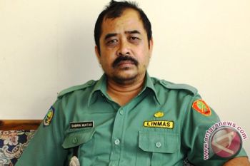 CPNS Serbu Disdukcapil Palangka Raya 