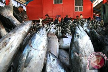 KKP: Rusia Cabut Larangan Impor Perikanan Indonesia