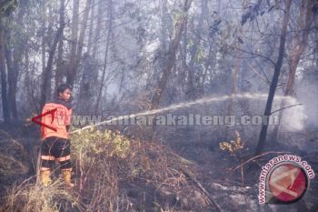 Pemkab Barito Utara Evaluasi Kebakaran Lahan-Hutan 