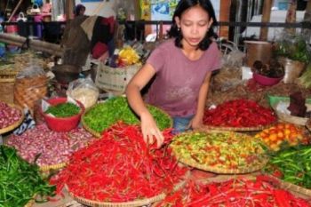 Harga Cabai di Kebumen Naik