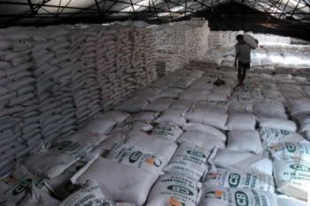 Stok Melimpah, Pemerintah Diminta Beli Gula Petani