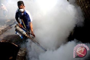 DPRD Bartim Minta Dinkes Persiapkan Fogging DBD