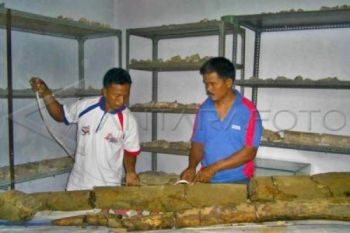 Pemerintah Gelontorkan Rp15 Miliar untuk Situs Patiayam
