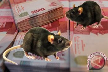Korupsi Kontruksi Jalan, Polres Pekalongan Bidik Seorang Rekanan
