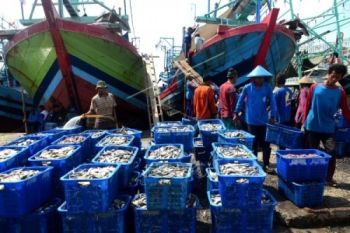 Nelayan Cilacap Masuki Musim Panen