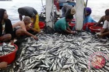 Diskanla bentuk tim selidiki kematian ribuan ikan
